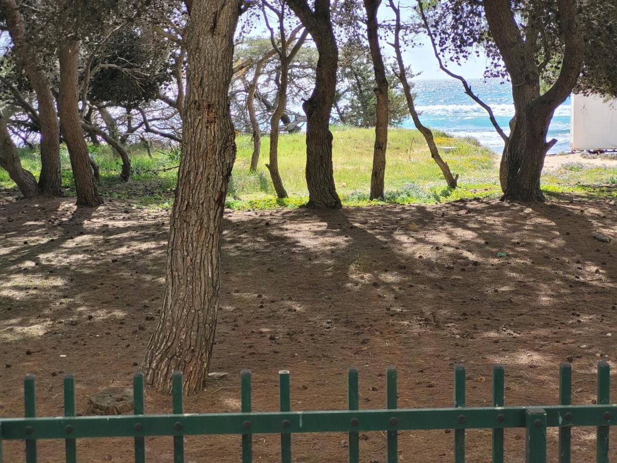 Appartamento Fronte Pineta Mare Rivabella Esterno foto