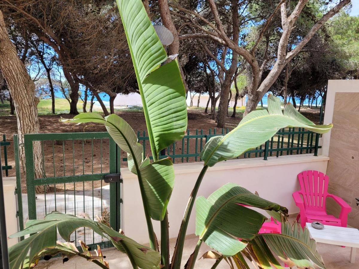Appartamento Fronte Pineta Mare Rivabella Esterno foto