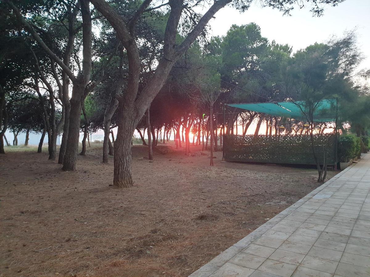 Appartamento Fronte Pineta Mare Rivabella Esterno foto